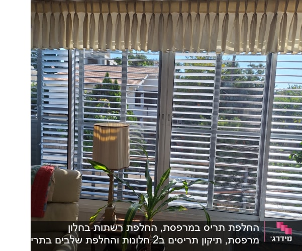 תריסי אלומיניום בחלון סלון עם וילון וצמח